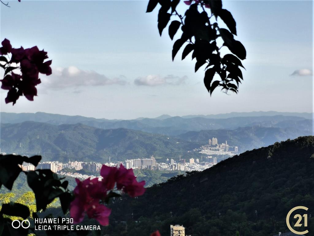 【外01】長青庭園景觀別墅