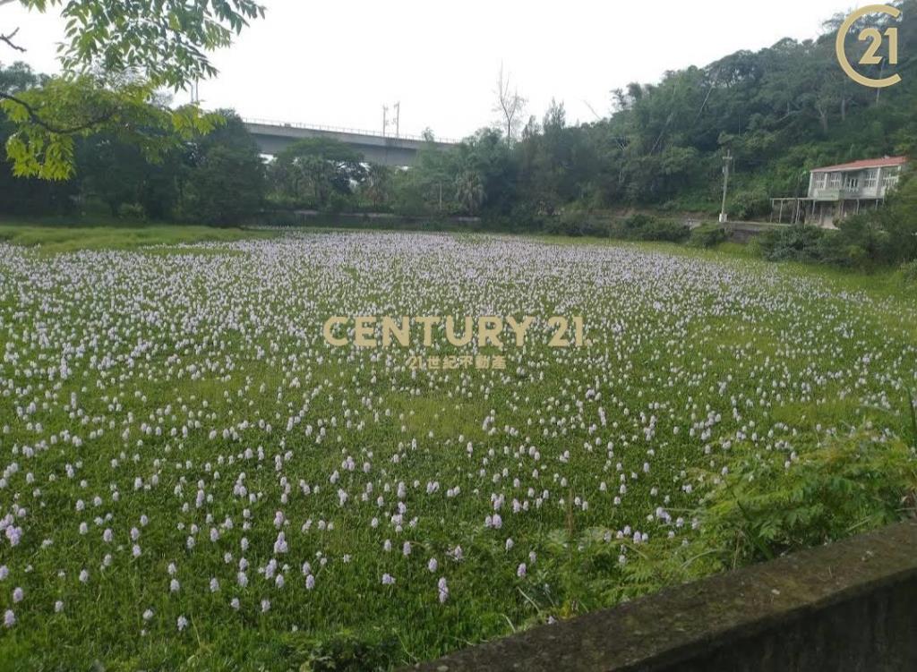 造橋鄉苗15縣道旁休閑地B