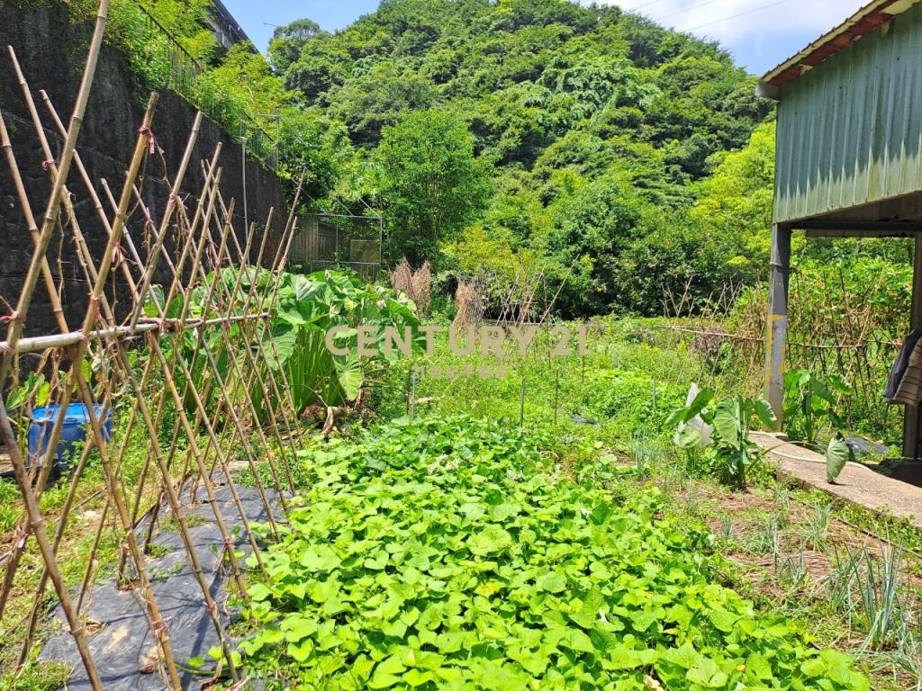 南港千坪景觀美別墅