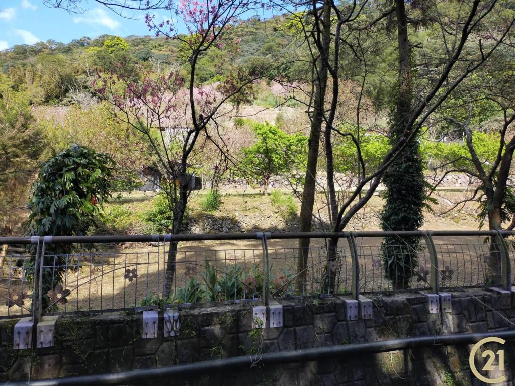 (021)陽明櫻木花農園