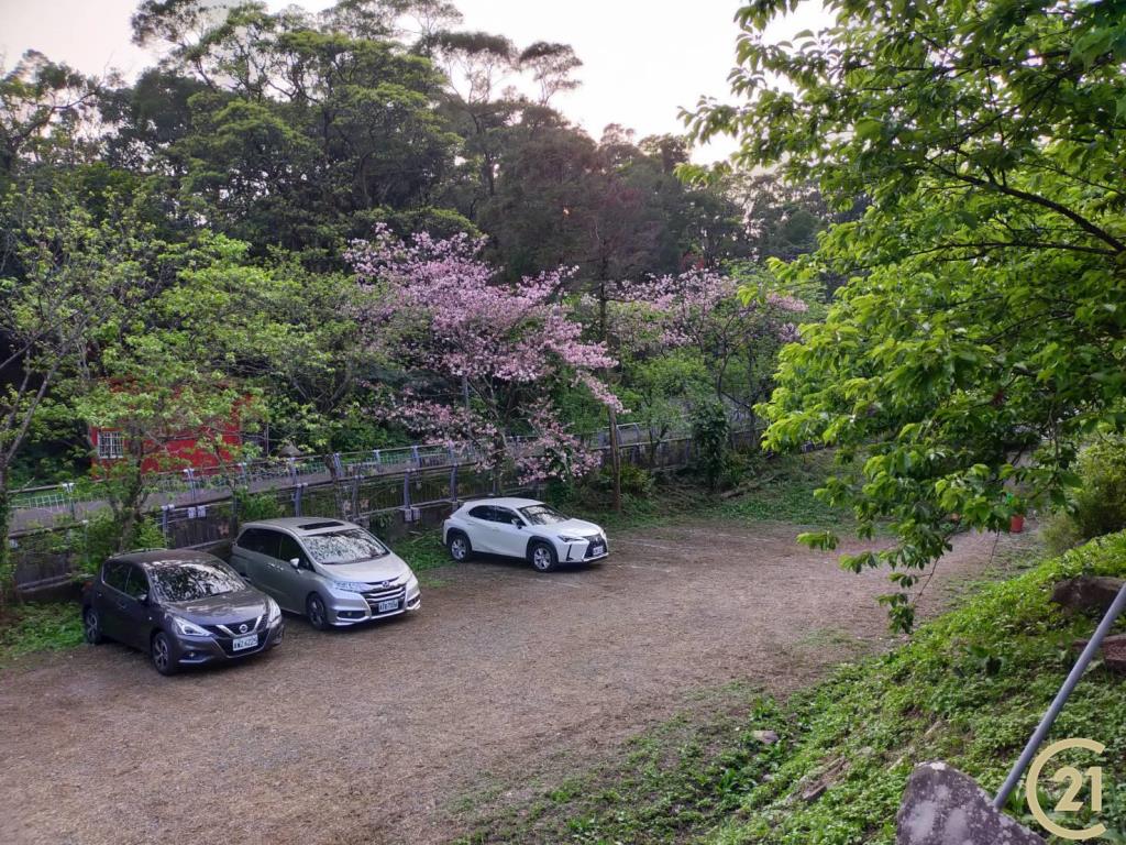 (021)陽明櫻木花農園