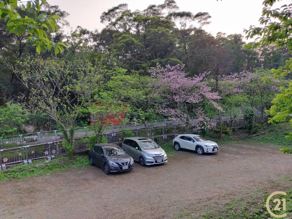 (021)陽明櫻木花農園