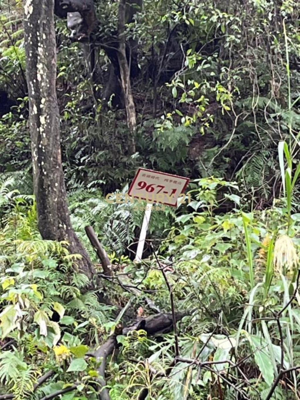 園藝植栽生態農場