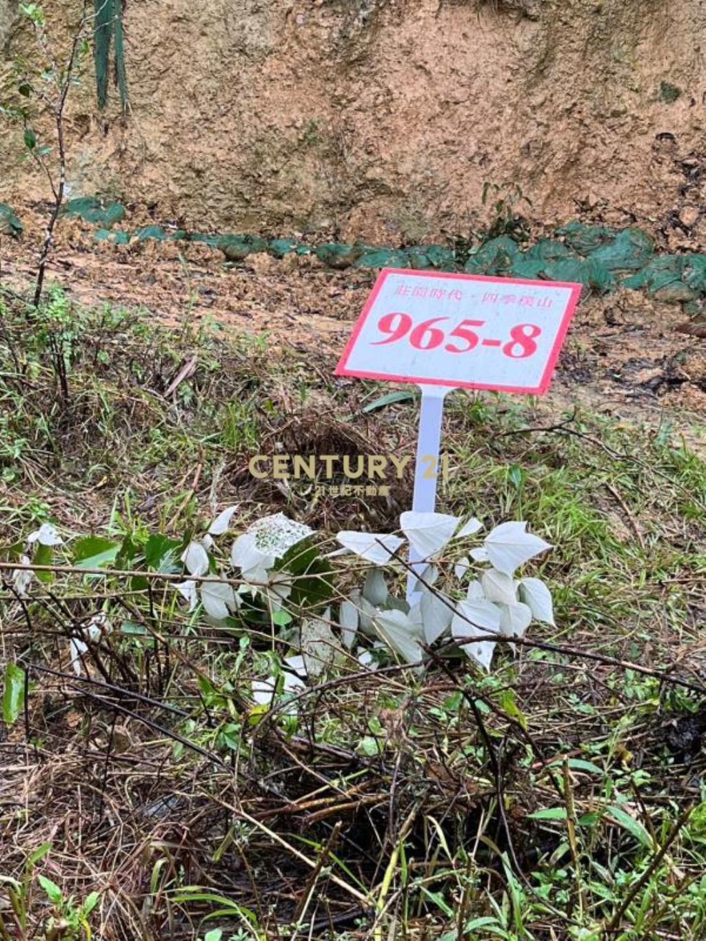 園藝植栽生態農場