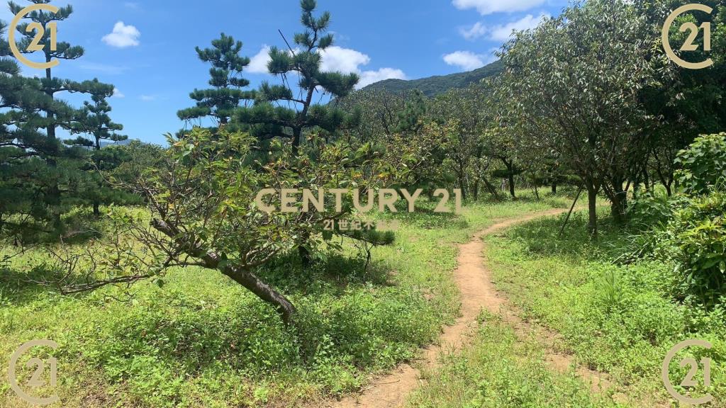 陽明山景觀農地123