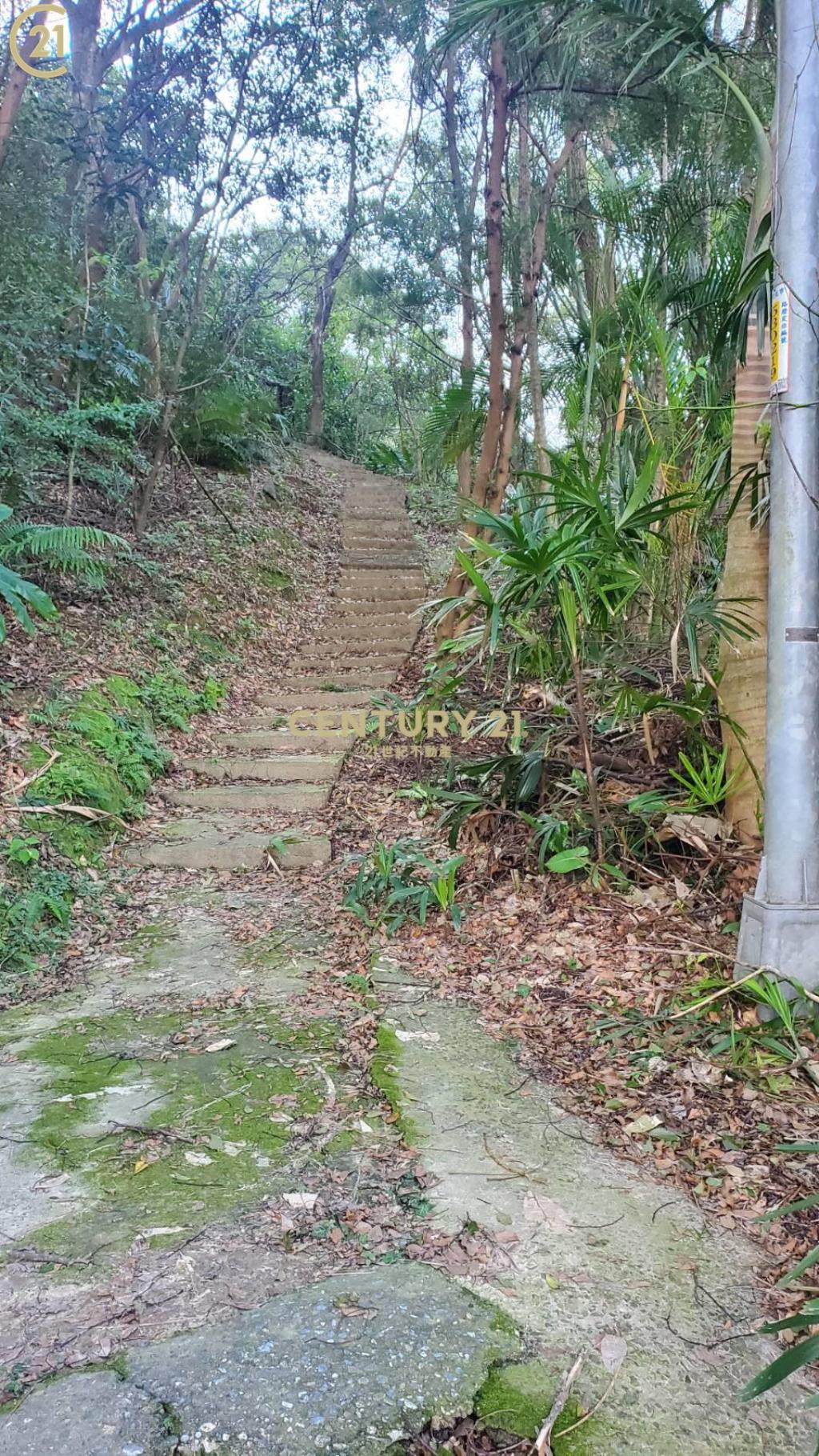 鄰近小南港山