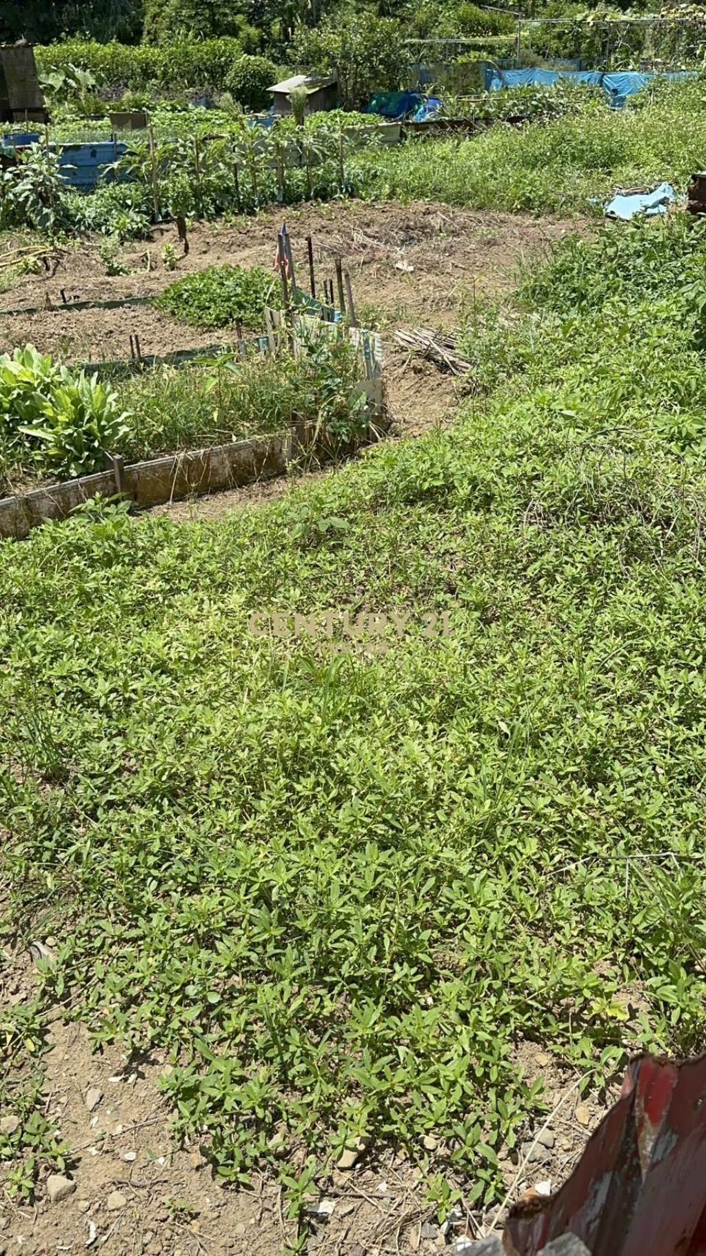 蛻變中的石門區大批土地大商機