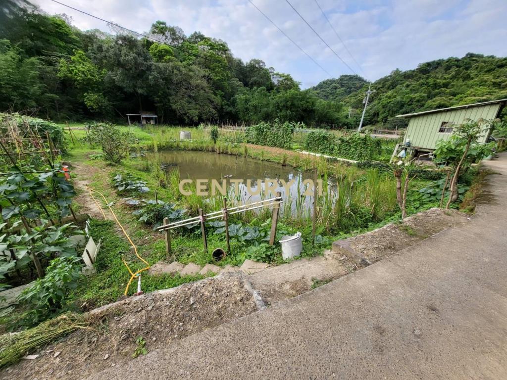 大湖臨平坦種菜園藝好所在