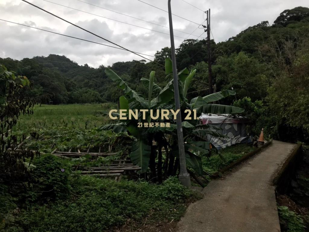 內湖大湖段農地