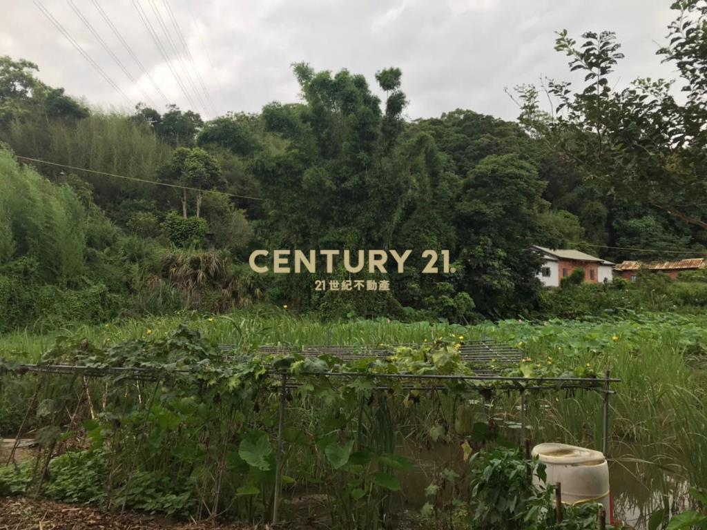 內湖大湖段農地