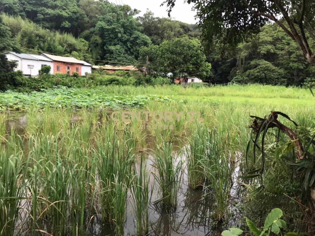 內湖大湖段農地