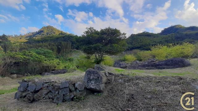 復興區奎輝一般農業區農地