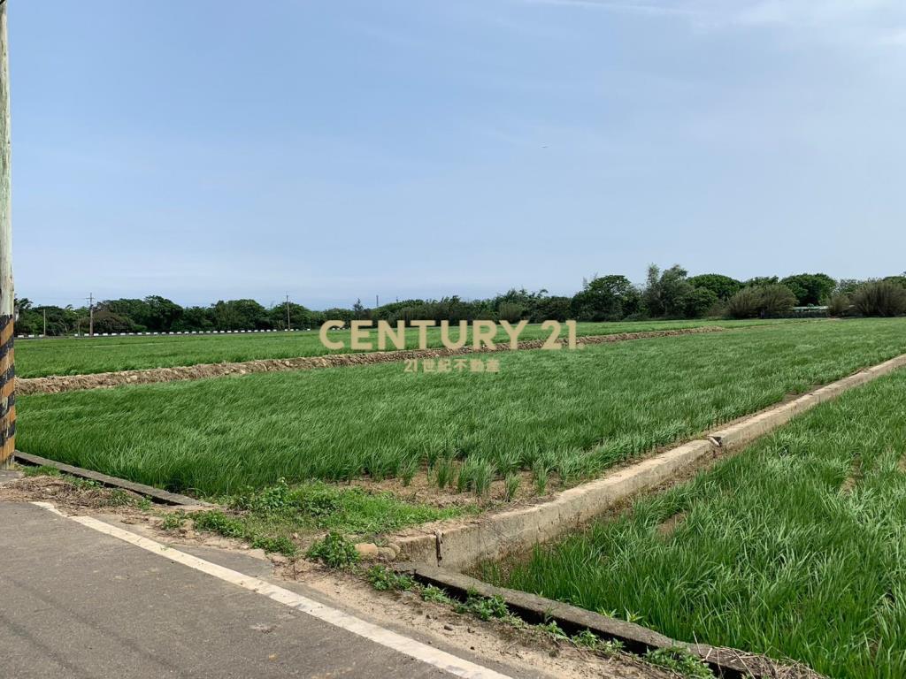 新屋近中山西路大塊美田