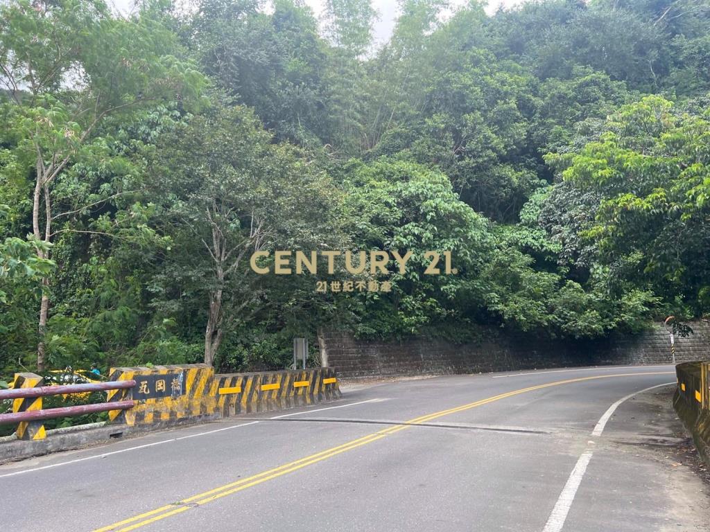 台東鹿野原保地有路進出