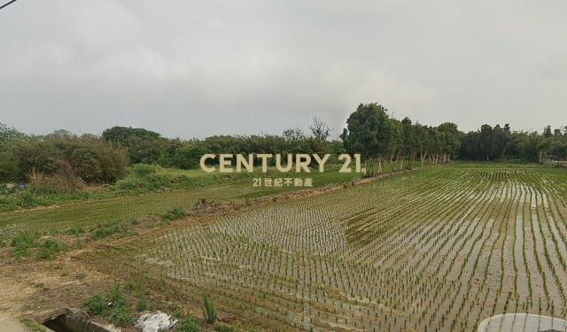 新屋大坡大路寬農地