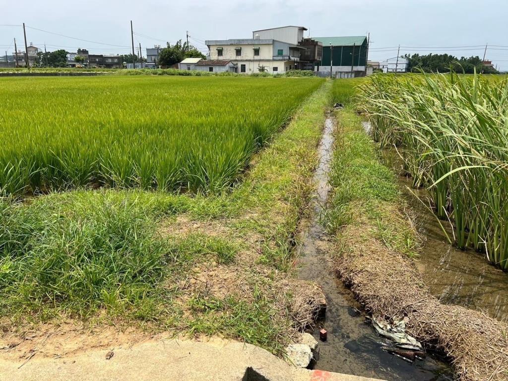 新屋雙面臨路農地