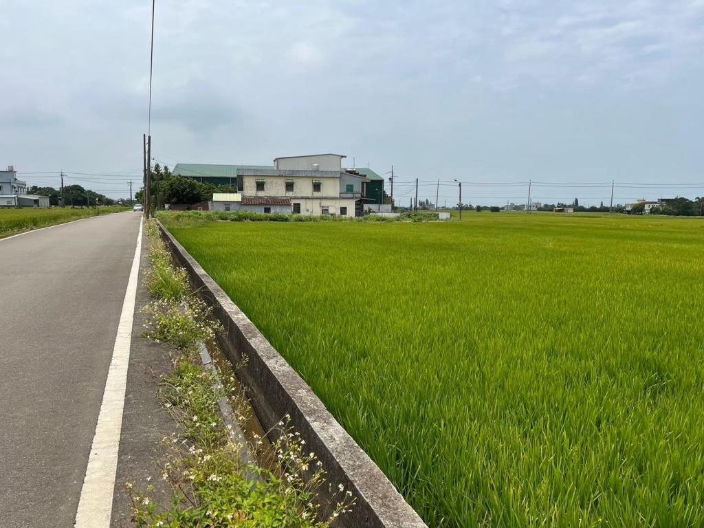 新屋雙面臨路農地