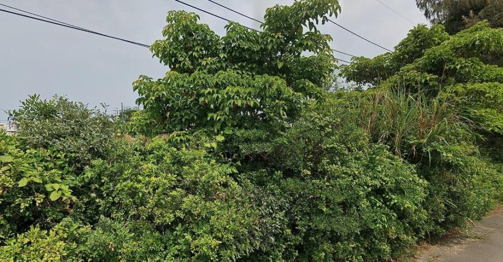 新屋東明國小大面寬農地