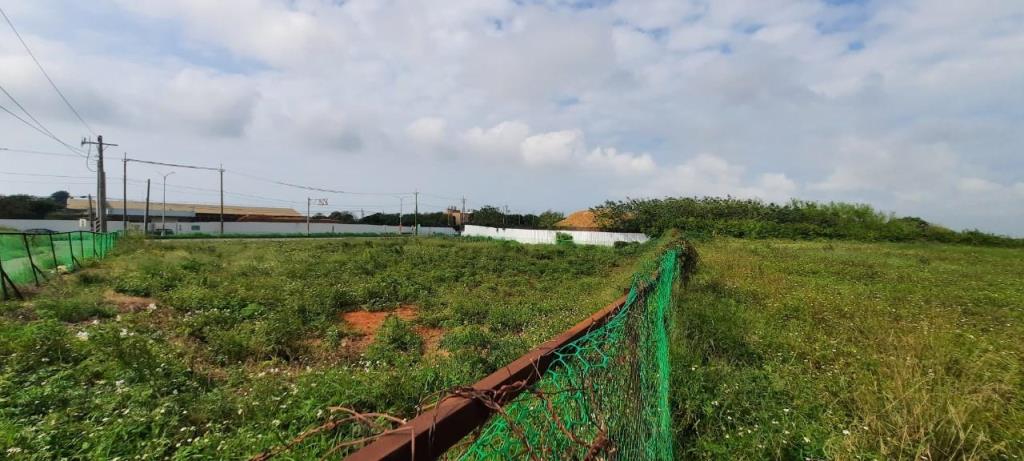 正濱海公路旁三面路農地