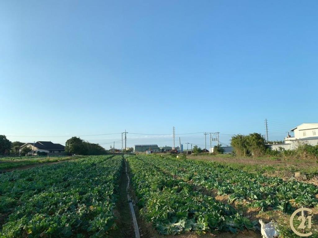 新屋近市區農地