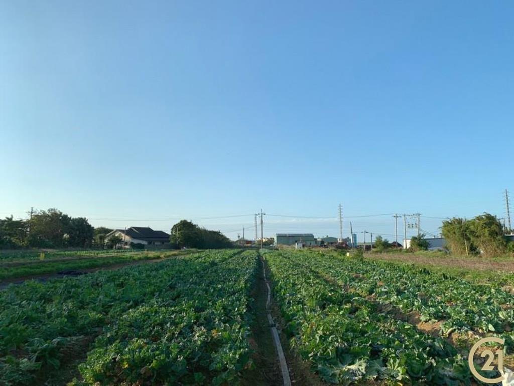 新屋近市區農地