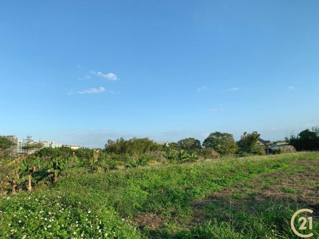 新屋近市區農地