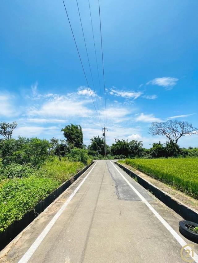 新屋低總價農地