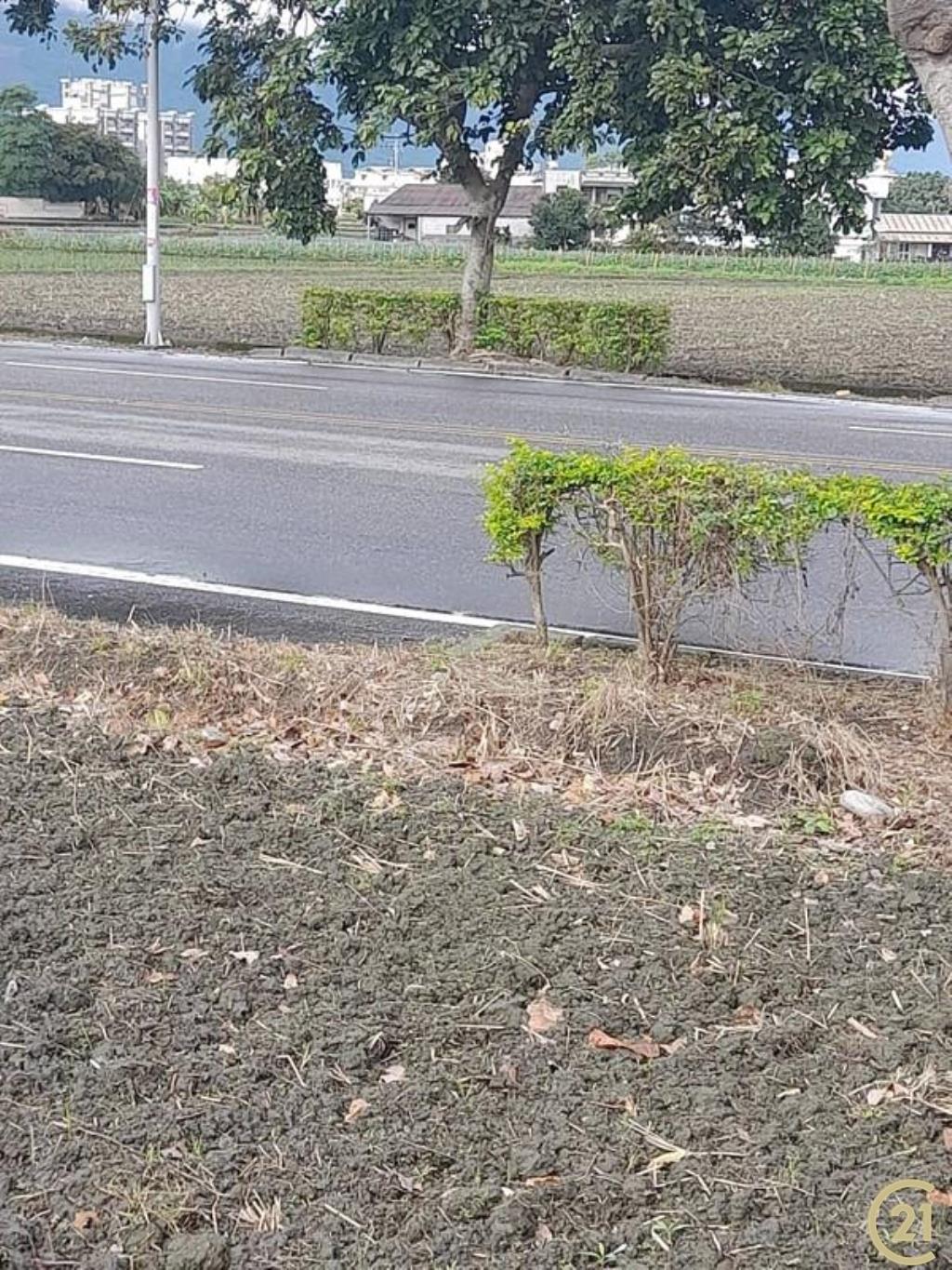 花蓮吉安農地