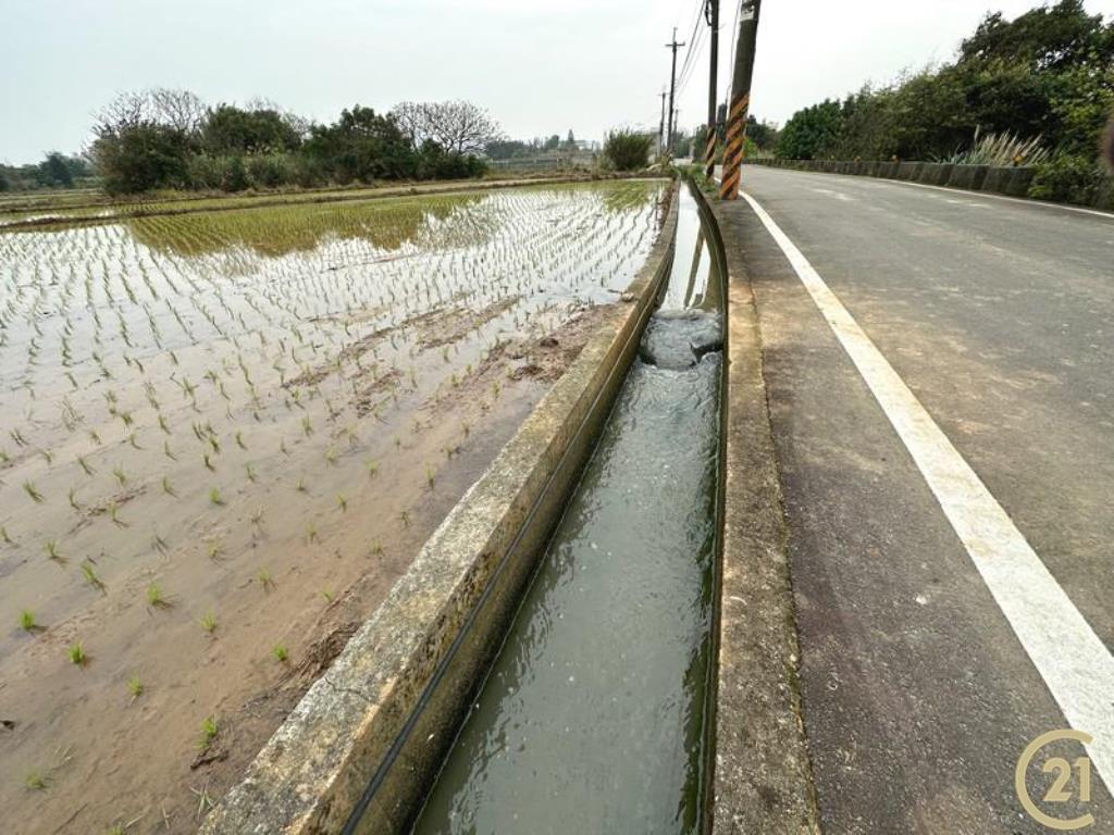 青埔旁便宜美農地