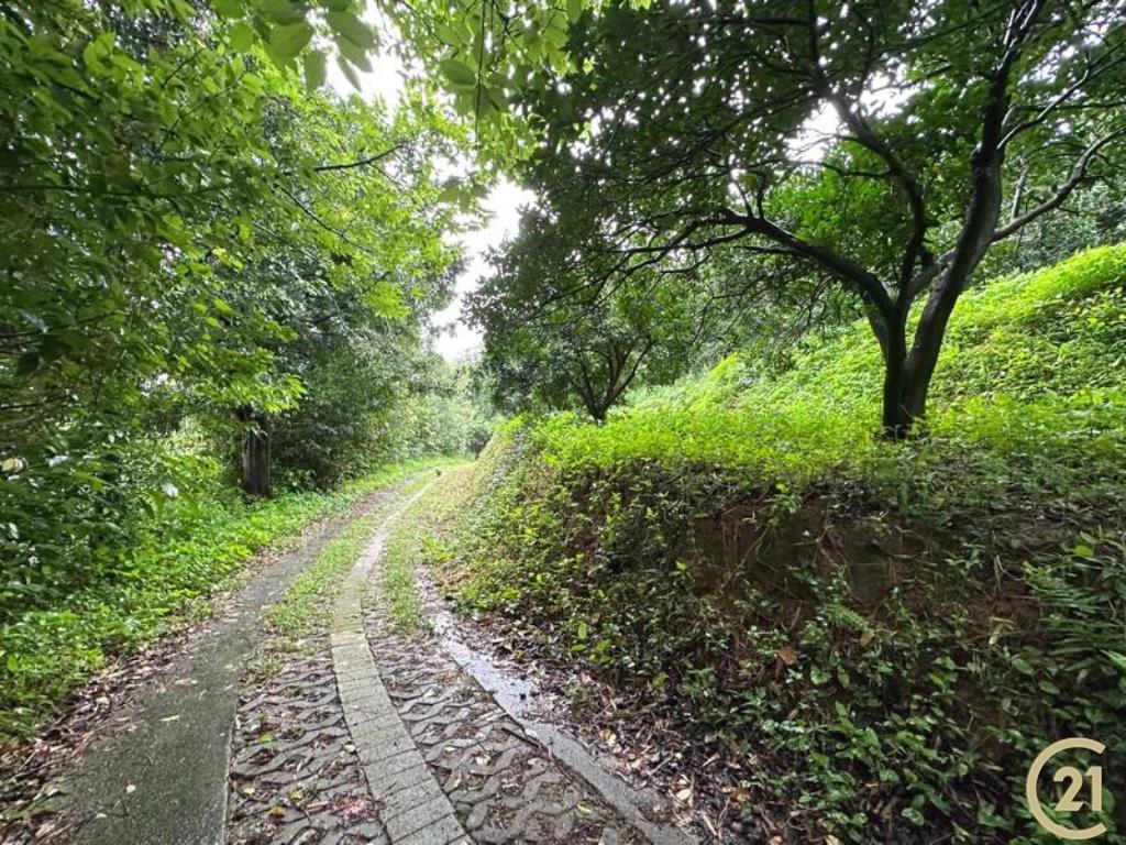 新埔鎮新北大地坪餐廳