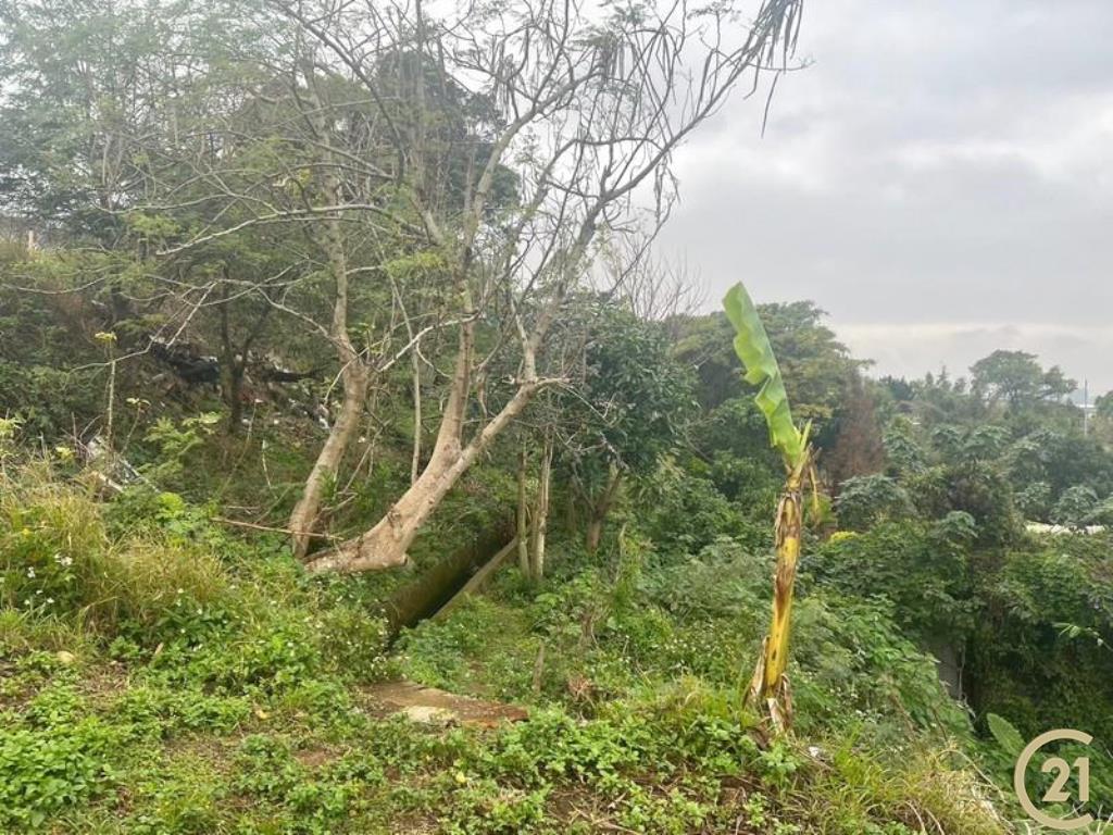 桃園龍山都內美農地