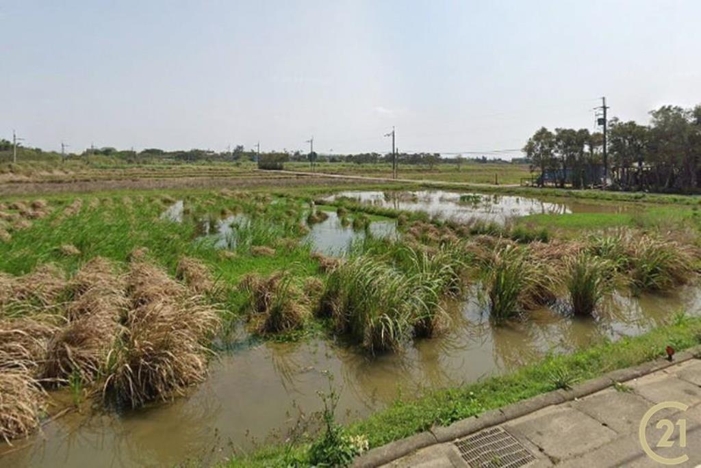 蚵間活動中心農地