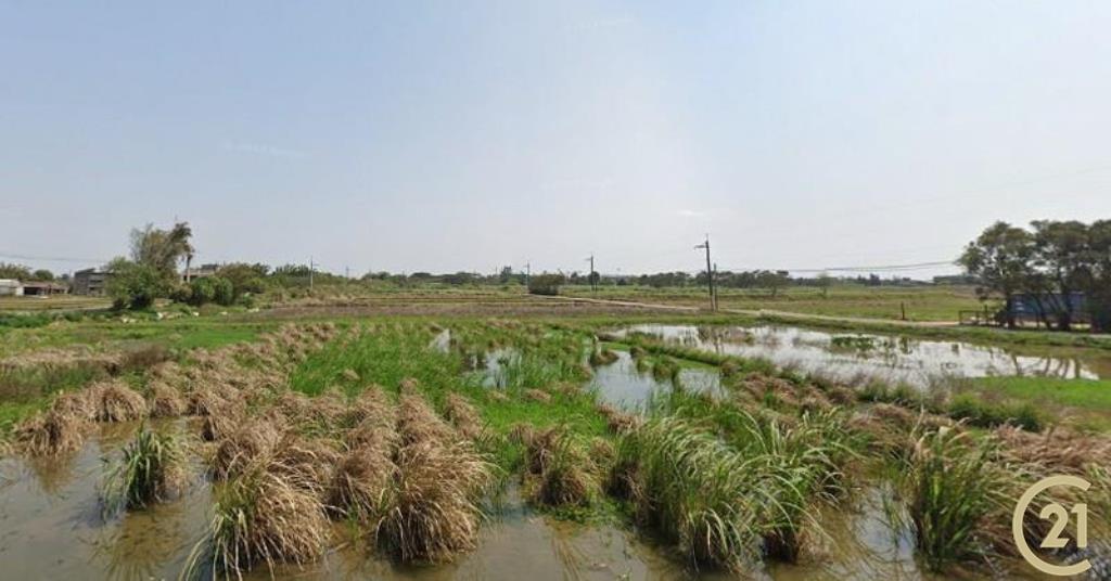 蚵間活動中心農地