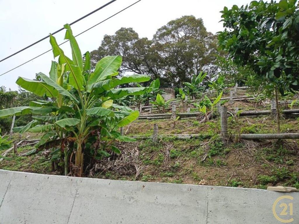 通霄烏眉坑農牧用地