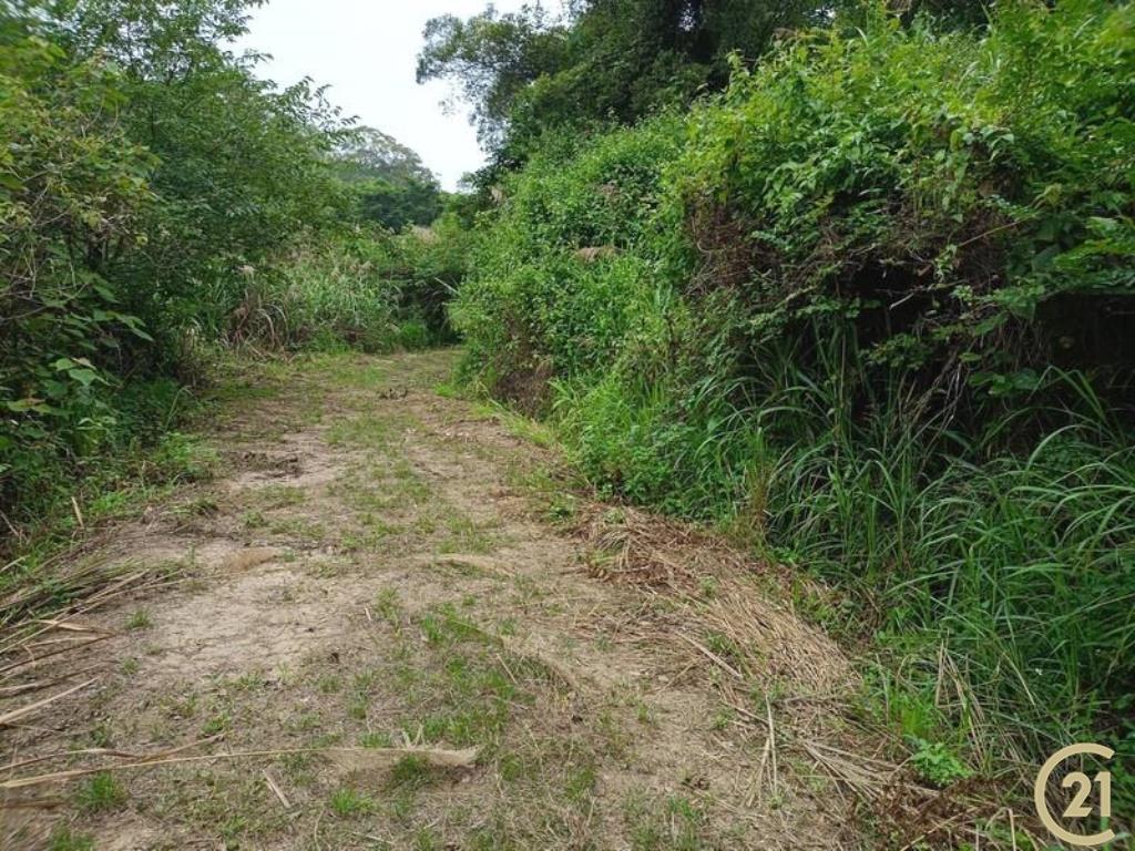 通霄烏眉坑農牧用地