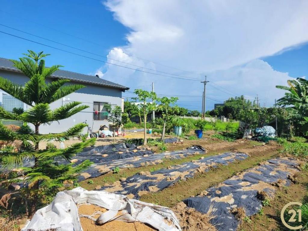 合圳北路一般農