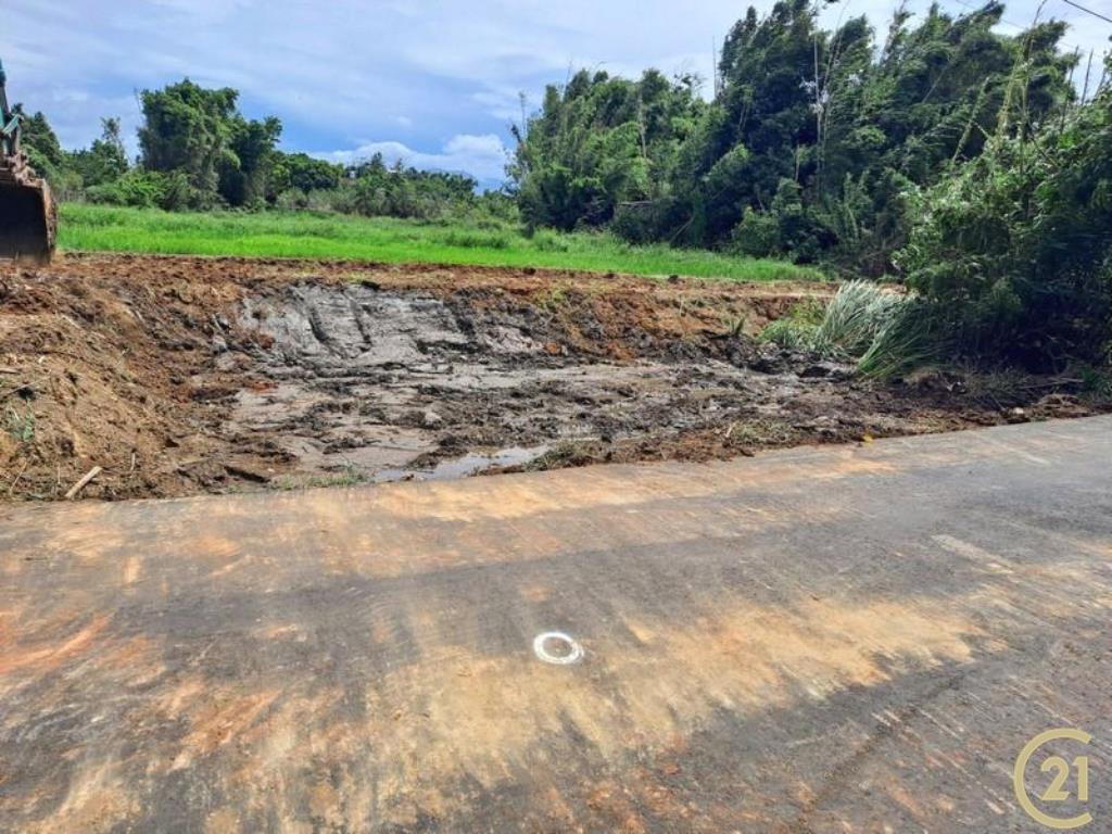 龍潭中豐路旁小農地