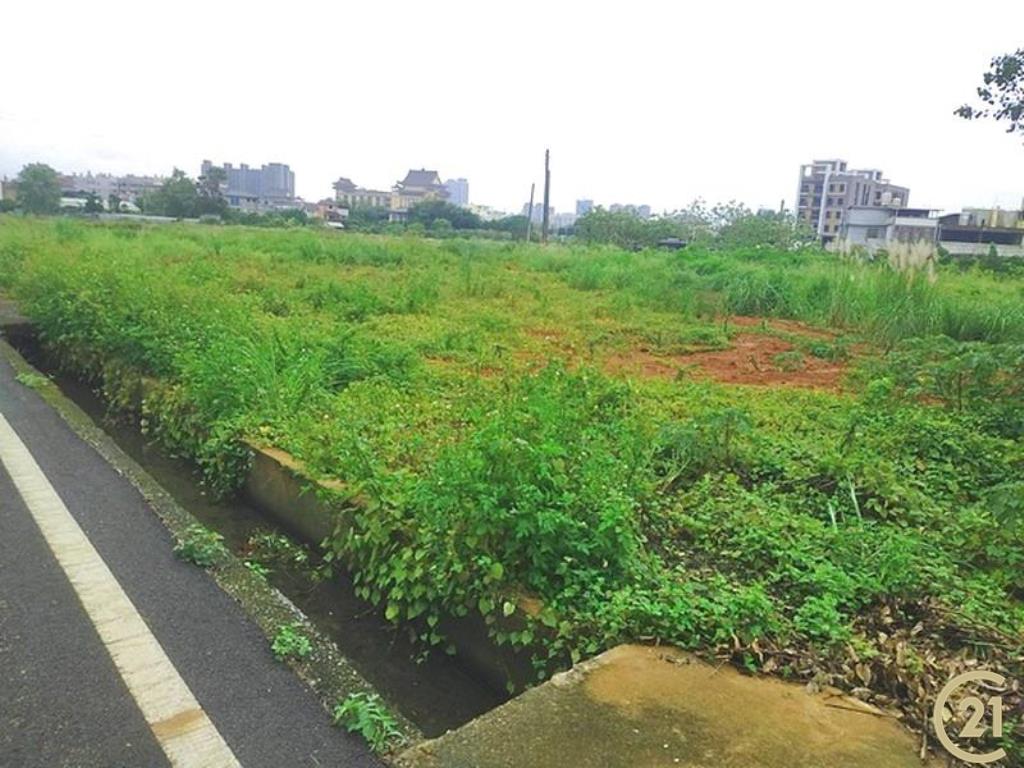 山東國小方正美田