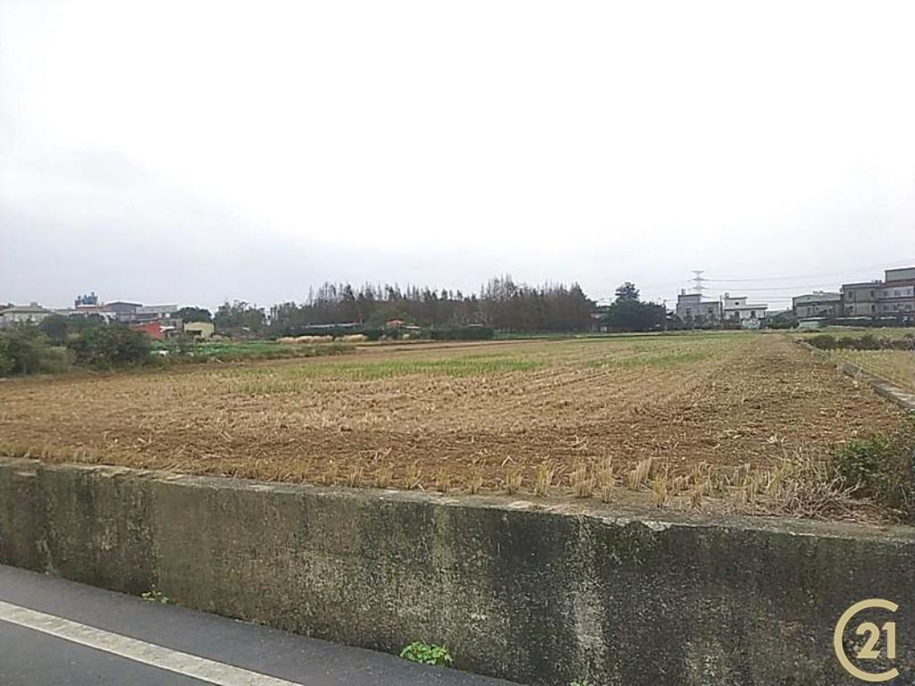 新屋市區邊美農地