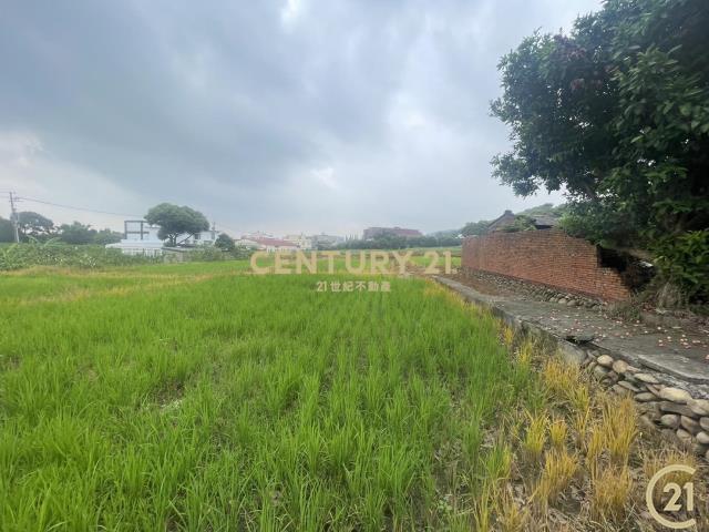 楊梅丙建+農地