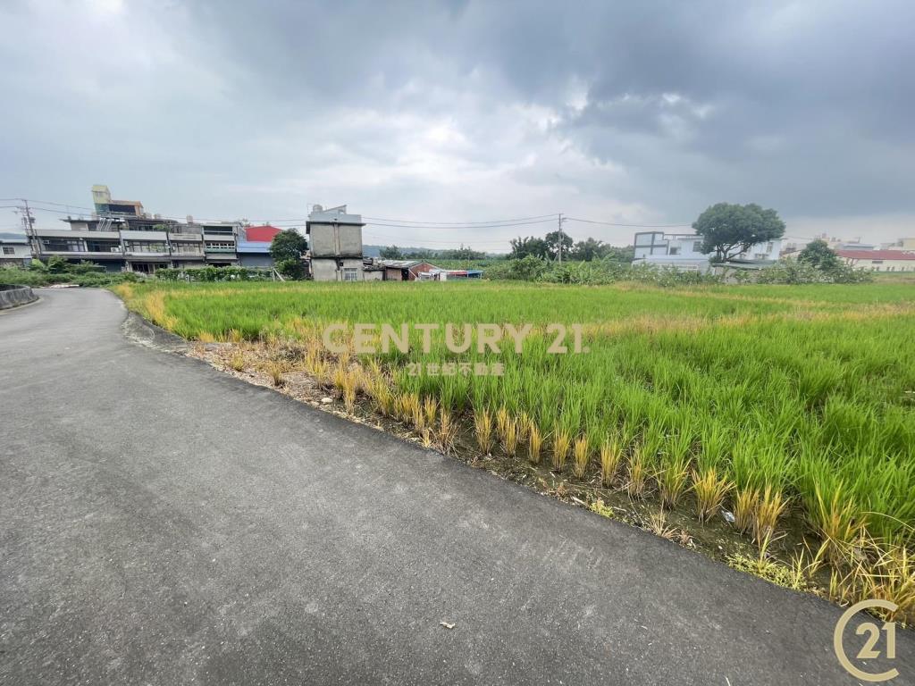 楊梅丙建+農地