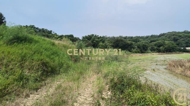 新竹市大湖田