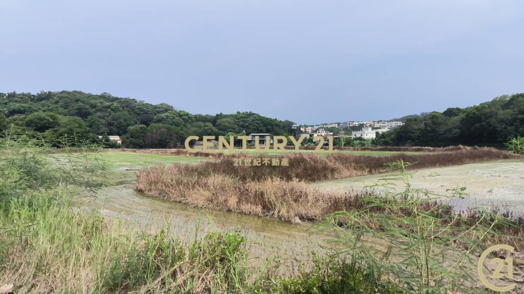 新竹市大湖田