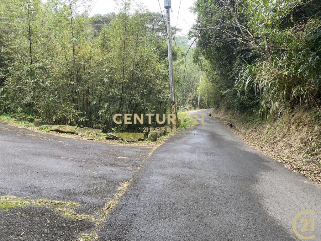 新埔照鏡丙建+農地