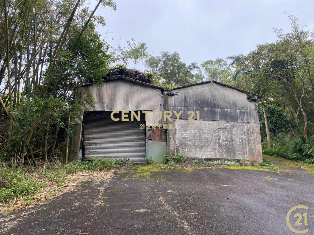 新埔照鏡丙建+農地