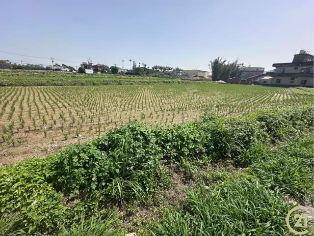 新湖路田