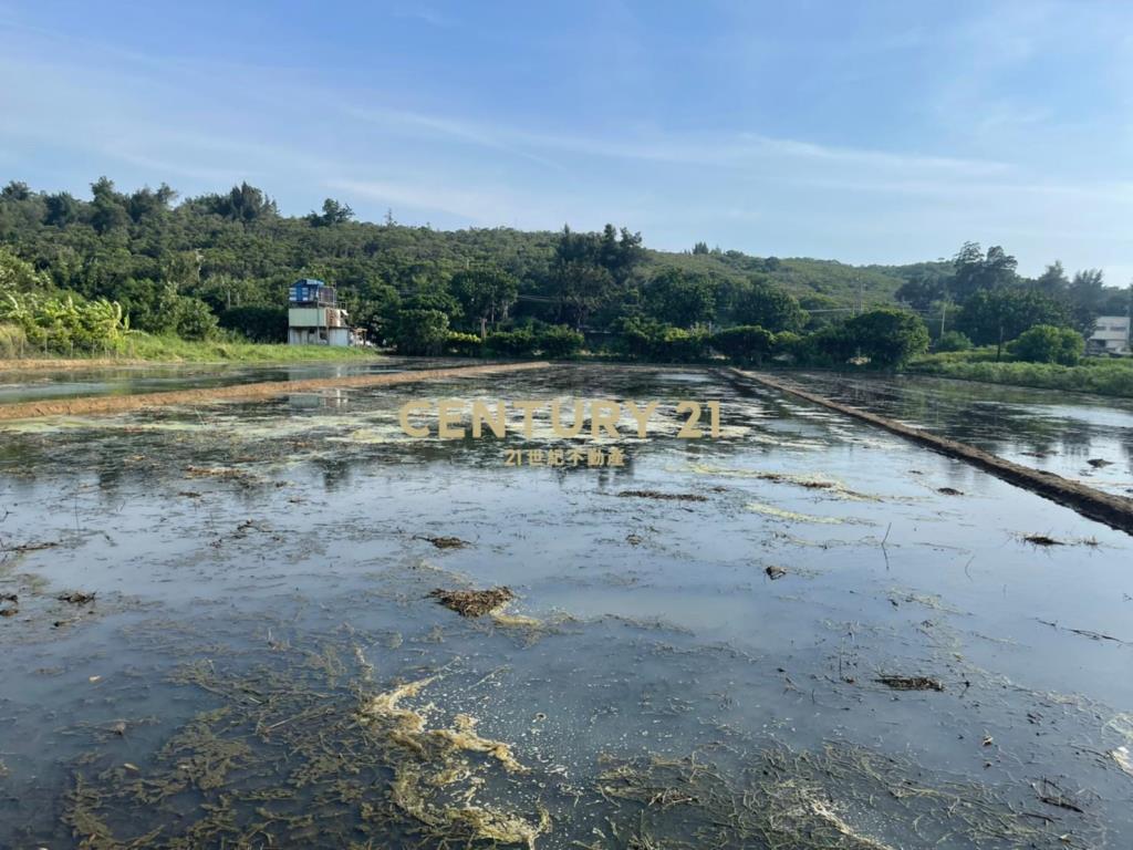 湖南段838坪田