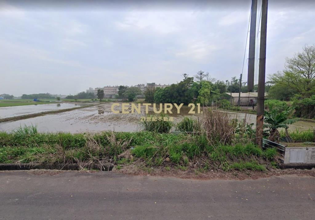 楊湖路大路邊農地830坪