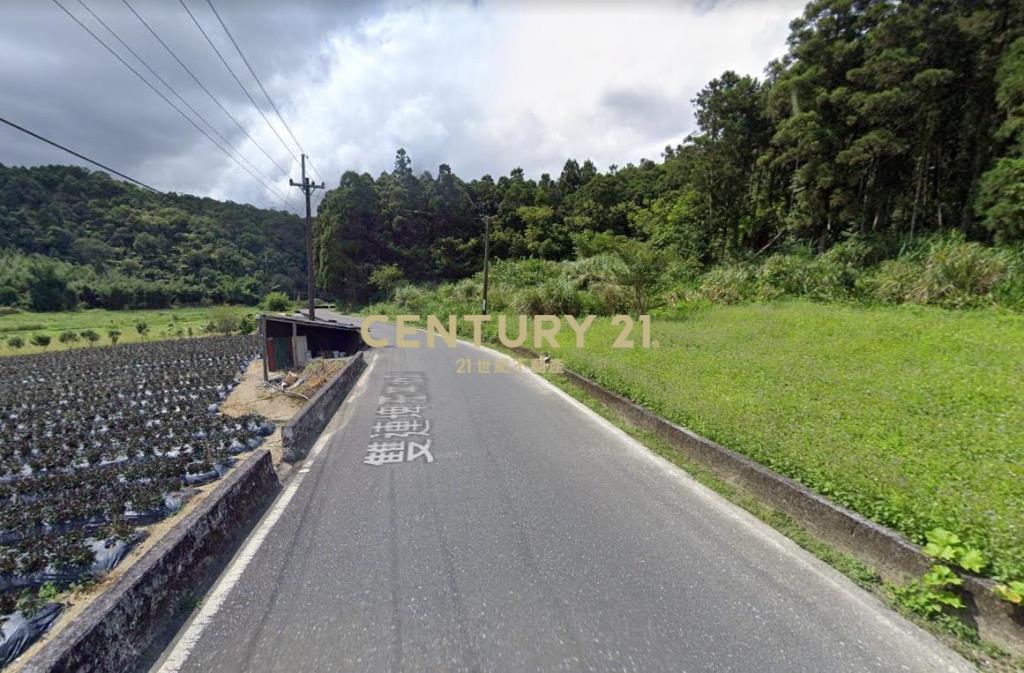 宜蘭山坡種植地1604坪