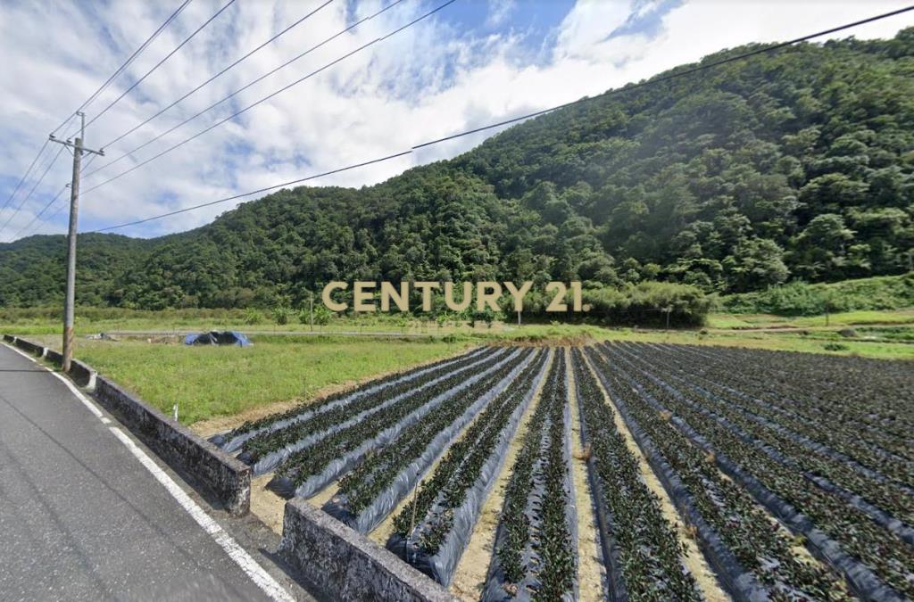 宜蘭山坡種植地1604坪